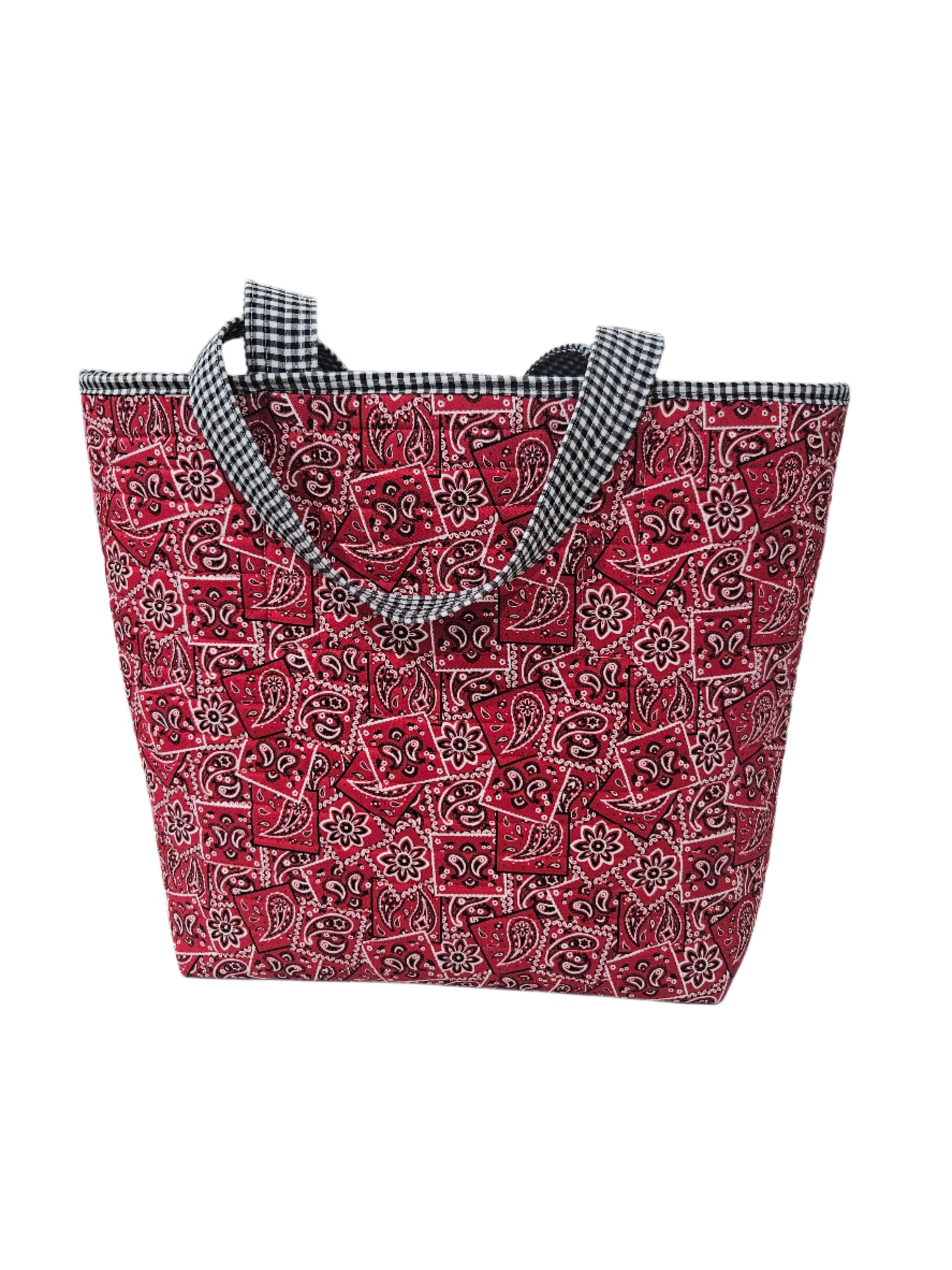 Red Bandana & Black Gingham